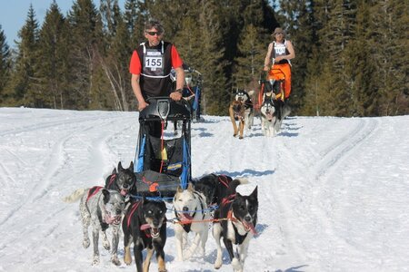 La Pesse 2014 Course de chiens de traineau (vendredi 7 Samedi 8/03/2014), IMG_4303