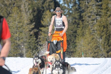La Pesse 2014 Course de chiens de traineau (vendredi 7 Samedi 8/03/2014), IMG_4304