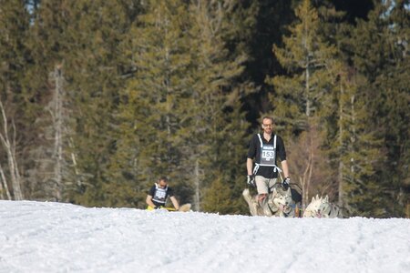 La Pesse 2014 Course de chiens de traineau (vendredi 7 Samedi 8/03/2014), IMG_4310