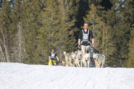 La Pesse 2014 Course de chiens de traineau (vendredi 7 Samedi 8/03/2014), IMG_4311