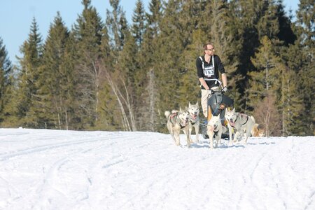 La Pesse 2014 Course de chiens de traineau (vendredi 7 Samedi 8/03/2014), IMG_4313