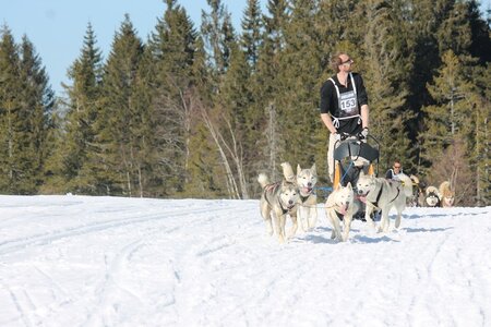 La Pesse 2014 Course de chiens de traineau (vendredi 7 Samedi 8/03/2014), IMG_4314