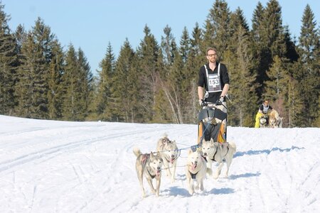 La Pesse 2014 Course de chiens de traineau (vendredi 7 Samedi 8/03/2014), IMG_4315