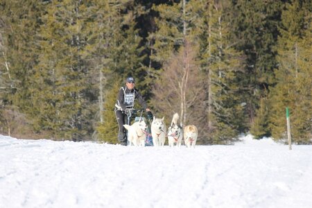 La Pesse 2014 Course de chiens de traineau (vendredi 7 Samedi 8/03/2014), IMG_4328