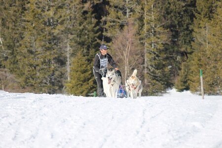 La Pesse 2014 Course de chiens de traineau (vendredi 7 Samedi 8/03/2014), IMG_4329