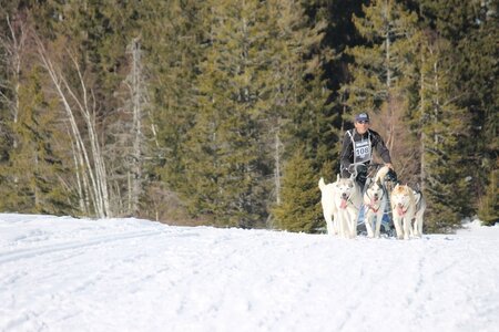 La Pesse 2014 Course de chiens de traineau (vendredi 7 Samedi 8/03/2014), IMG_4330