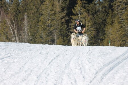 La Pesse 2014 Course de chiens de traineau (vendredi 7 Samedi 8/03/2014), IMG_4346