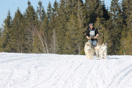 La Pesse 2014 Course de chiens de traineau (vendredi 7 Samedi 8/03/2014), IMG_4347