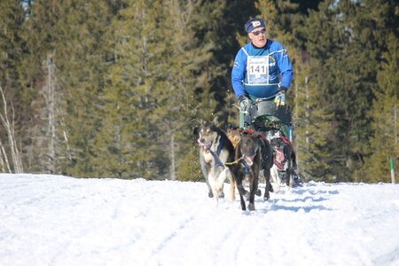 La Pesse 2014 Course de chiens de traineau (vendredi 7 Samedi 8/03/2014), IMG_4355