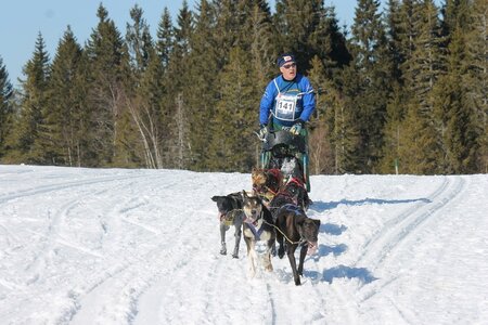 La Pesse 2014 Course de chiens de traineau (vendredi 7 Samedi 8/03/2014), IMG_4357