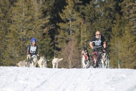 La Pesse 2014 Course de chiens de traineau (vendredi 7 Samedi 8/03/2014), IMG_4362
