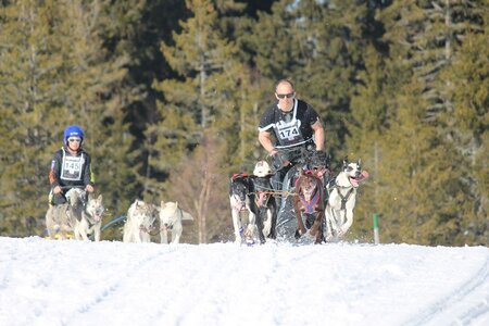 La Pesse 2014 Course de chiens de traineau (vendredi 7 Samedi 8/03/2014), IMG_4363