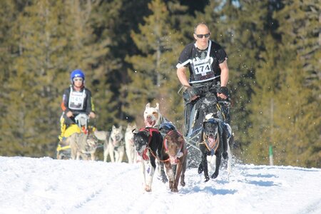 La Pesse 2014 Course de chiens de traineau (vendredi 7 Samedi 8/03/2014), IMG_4364