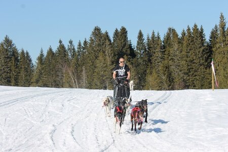 La Pesse 2014 Course de chiens de traineau (vendredi 7 Samedi 8/03/2014), IMG_4367