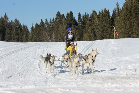 La Pesse 2014 Course de chiens de traineau (vendredi 7 Samedi 8/03/2014), IMG_4373