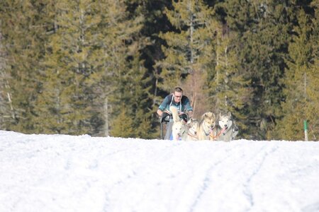 La Pesse 2014 Course de chiens de traineau (vendredi 7 Samedi 8/03/2014), IMG_4377