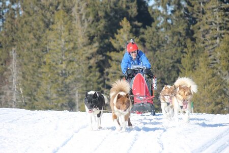 La Pesse 2014 Course de chiens de traineau (vendredi 7 Samedi 8/03/2014), IMG_4389
