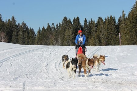 La Pesse 2014 Course de chiens de traineau (vendredi 7 Samedi 8/03/2014), IMG_4393