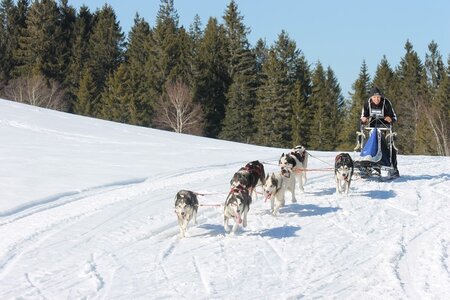 La Pesse 2014 Course de chiens de traineau (vendredi 7 Samedi 8/03/2014), IMG_4401