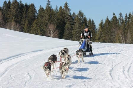 La Pesse 2014 Course de chiens de traineau (vendredi 7 Samedi 8/03/2014), IMG_4402