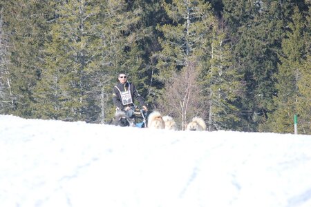 La Pesse 2014 Course de chiens de traineau (vendredi 7 Samedi 8/03/2014), IMG_4407