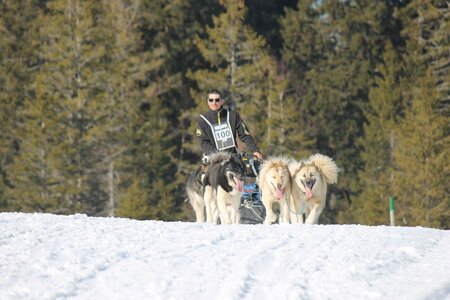 La Pesse 2014 Course de chiens de traineau (vendredi 7 Samedi 8/03/2014), IMG_4410