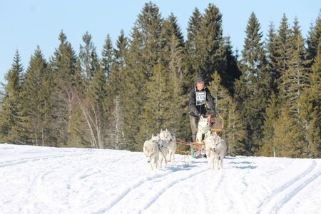 La Pesse 2014 Course de chiens de traineau (vendredi 7 Samedi 8/03/2014), IMG_4426