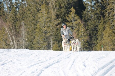 La Pesse 2014 Course de chiens de traineau (vendredi 7 Samedi 8/03/2014), IMG_4441