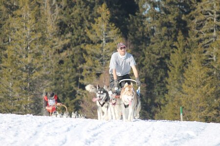 La Pesse 2014 Course de chiens de traineau (vendredi 7 Samedi 8/03/2014), IMG_4468