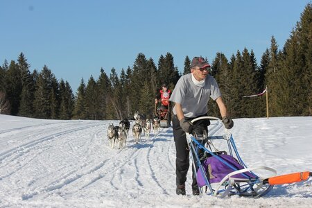 La Pesse 2014 Course de chiens de traineau (vendredi 7 Samedi 8/03/2014), IMG_4474
