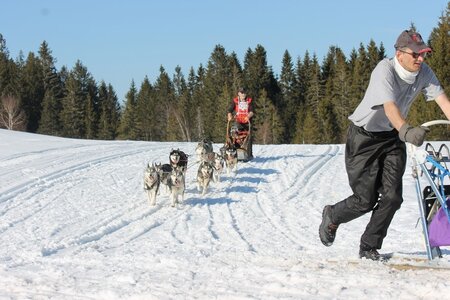 La Pesse 2014 Course de chiens de traineau (vendredi 7 Samedi 8/03/2014), IMG_4475