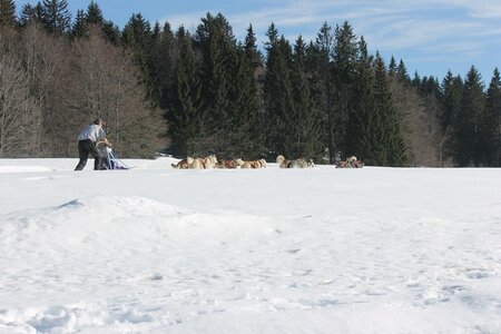 La Pesse 2014 Course de chiens de traineau (vendredi 7 Samedi 8/03/2014), IMG_4480
