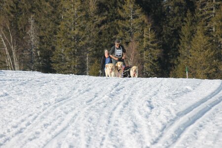 La Pesse 2014 Course de chiens de traineau (vendredi 7 Samedi 8/03/2014), IMG_4487