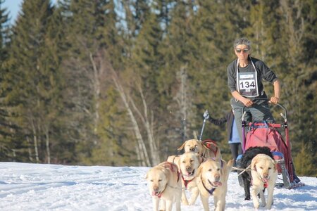 La Pesse 2014 Course de chiens de traineau (vendredi 7 Samedi 8/03/2014), IMG_4493
