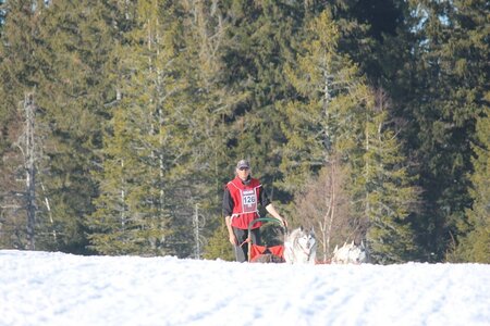 La Pesse 2014 Course de chiens de traineau (vendredi 7 Samedi 8/03/2014), IMG_4503