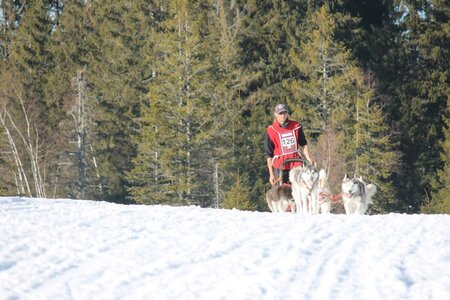 La Pesse 2014 Course de chiens de traineau (vendredi 7 Samedi 8/03/2014), IMG_4504