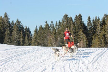La Pesse 2014 Course de chiens de traineau (vendredi 7 Samedi 8/03/2014), IMG_4508