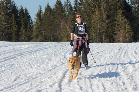 La Pesse 2014 Course de chiens de traineau (vendredi 7 Samedi 8/03/2014), IMG_4517