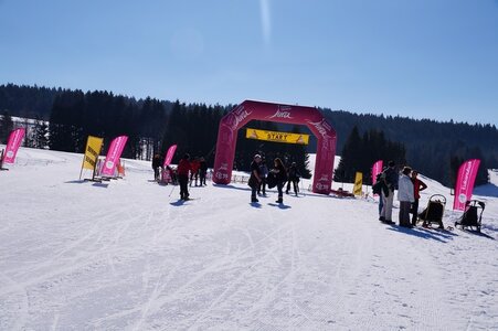 La Pesse 2014  Course de chiens de traineau  (dimanche 09/03/2014), DSC05411