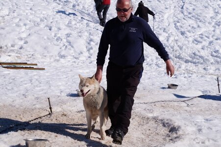 La Pesse 2014  Course de chiens de traineau  (dimanche 09/03/2014), DSC05417