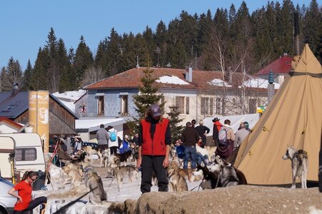 La Pesse 2014  Course de chiens de traineau  (dimanche 09/03/2014), DSC05421
