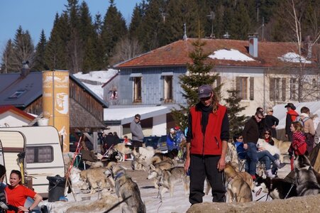 La Pesse 2014  Course de chiens de traineau  (dimanche 09/03/2014), DSC05422