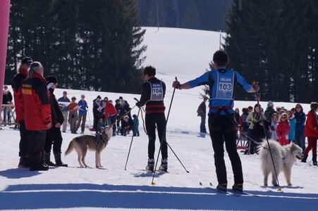 La Pesse 2014  Course de chiens de traineau  (dimanche 09/03/2014), DSC05443