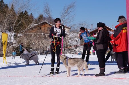 La Pesse 2014  Course de chiens de traineau  (dimanche 09/03/2014), DSC05444