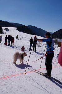 La Pesse 2014  Course de chiens de traineau  (dimanche 09/03/2014), DSC05446