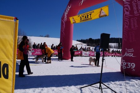 La Pesse 2014  Course de chiens de traineau  (dimanche 09/03/2014), DSC05447