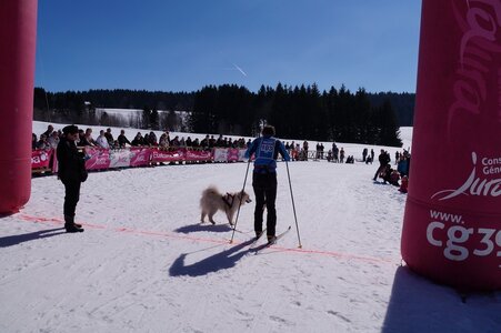 La Pesse 2014  Course de chiens de traineau  (dimanche 09/03/2014), DSC05448
