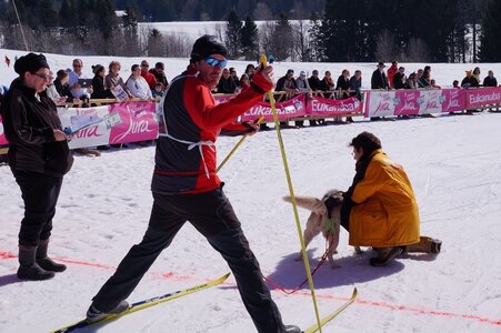 La Pesse 2014  Course de chiens de traineau  (dimanche 09/03/2014), DSC05450