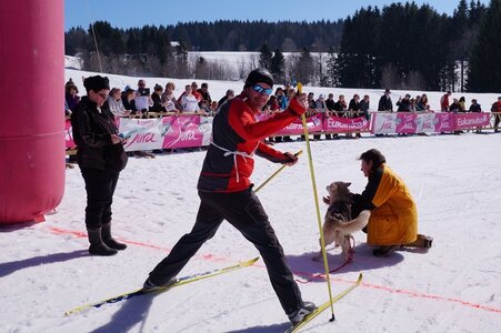 La Pesse 2014  Course de chiens de traineau  (dimanche 09/03/2014), DSC05451