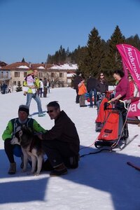 La Pesse 2014  Course de chiens de traineau  (dimanche 09/03/2014), DSC05453